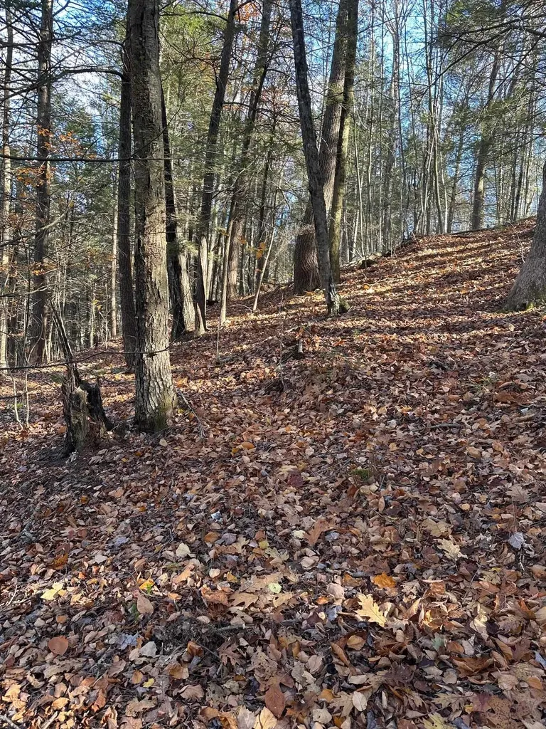 0 Cooke Road Brattleboro VT 05301