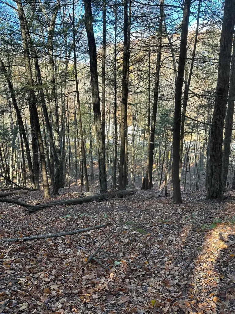 0 Cooke Road Brattleboro VT 05301