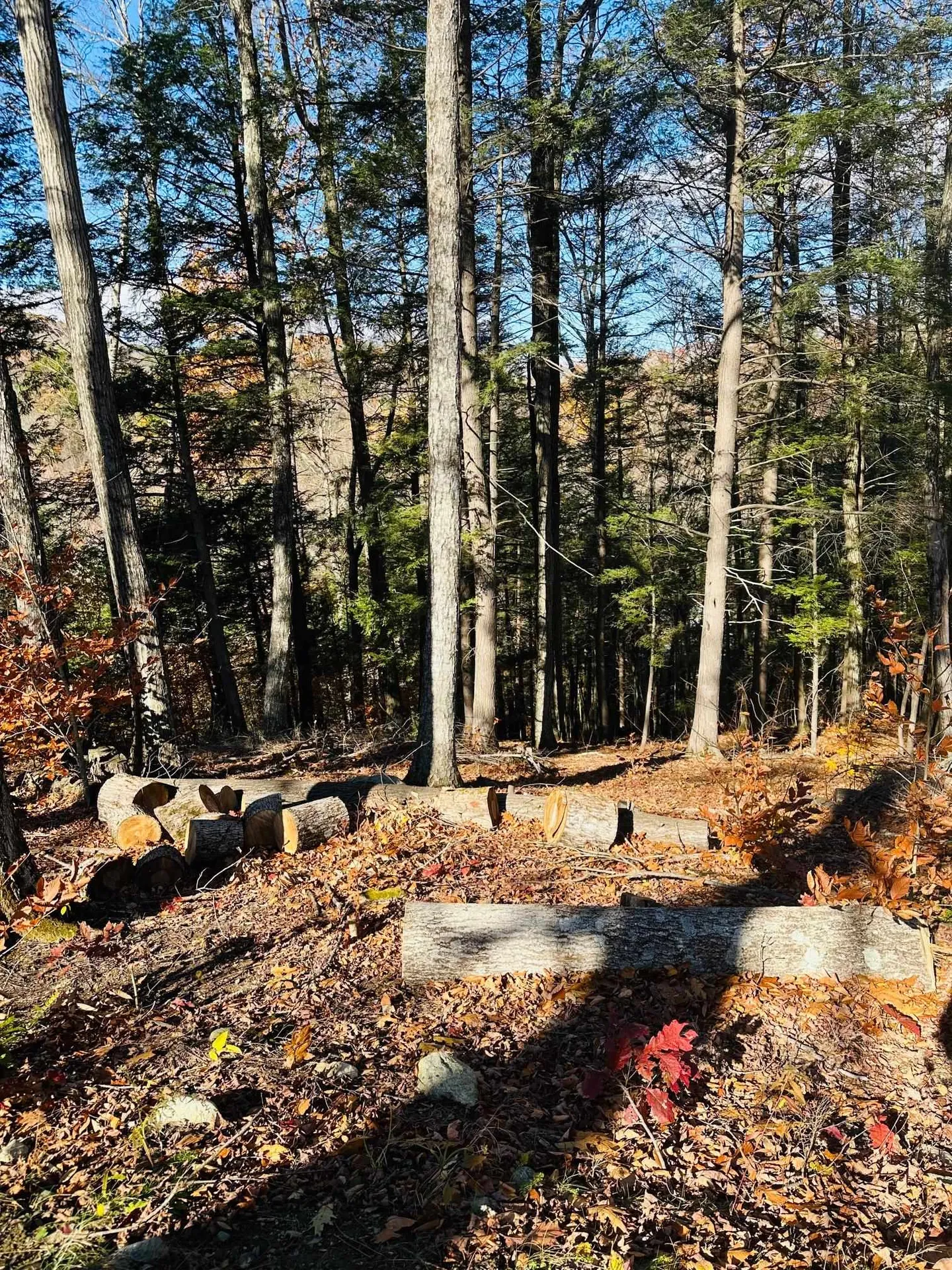 0 Cooke Road Brattleboro VT 05301