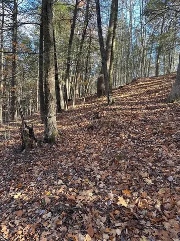 0 Cooke Road Brattleboro VT 05301