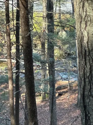 0 Cooke Road Brattleboro VT 05301