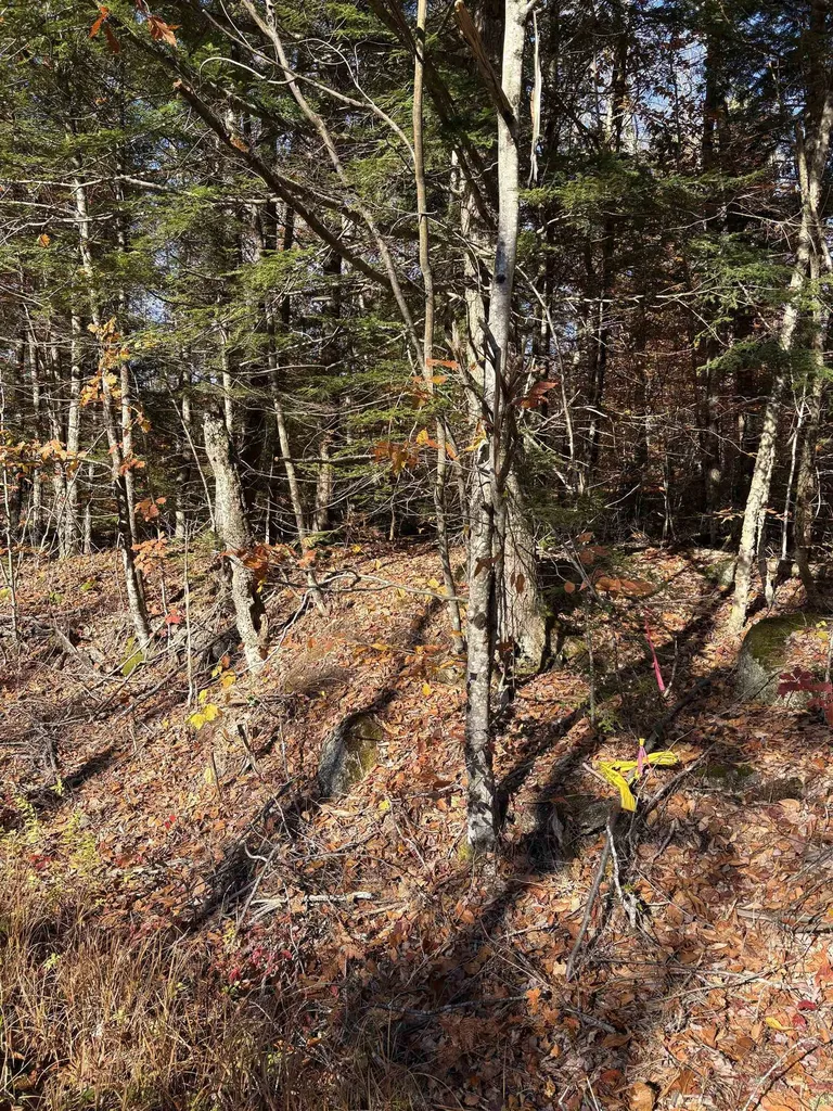 Lot 77-7 East Washington Road Washington NH 03280