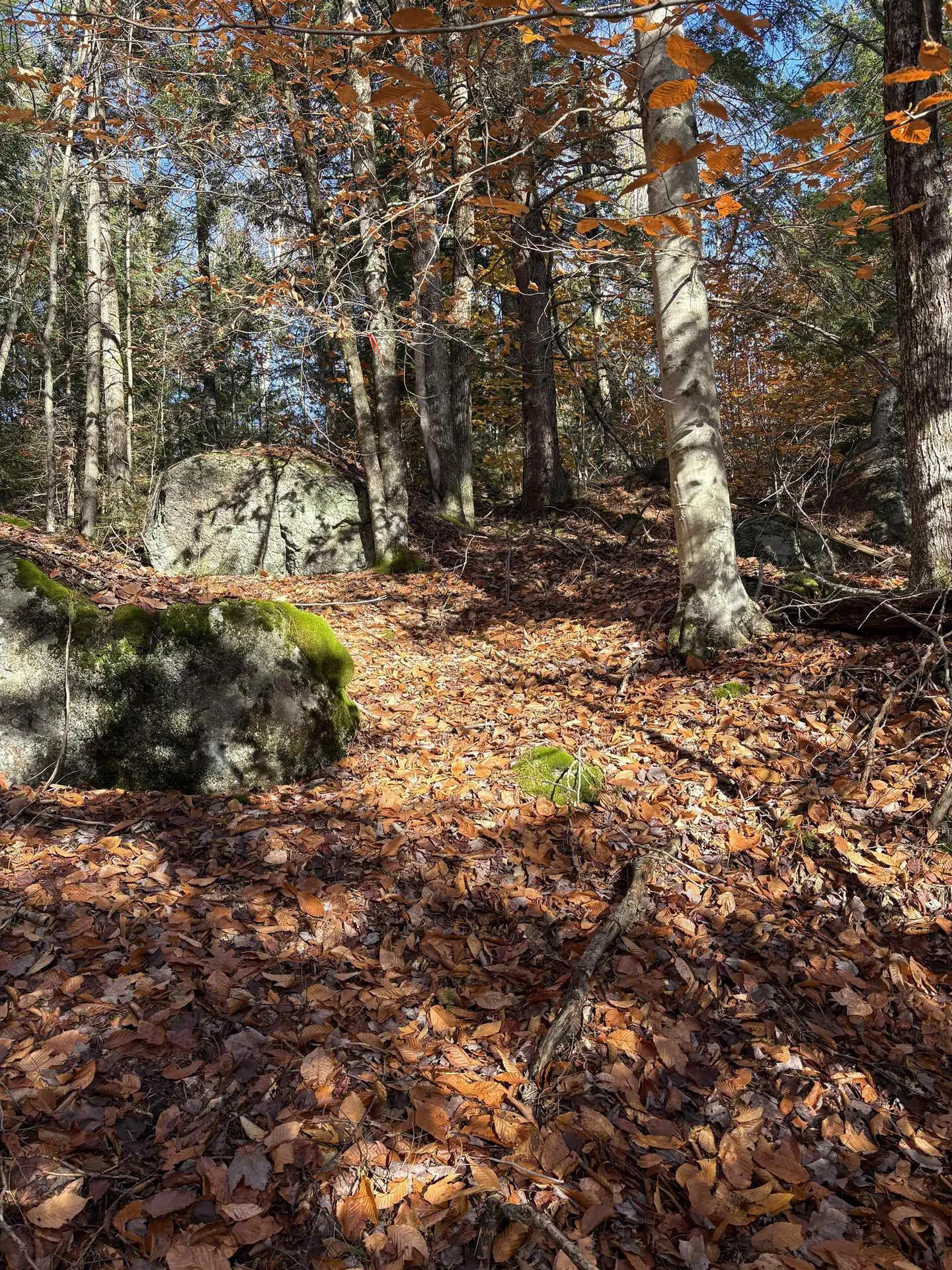 Lot 77-7 East Washington Road Washington NH 03280
