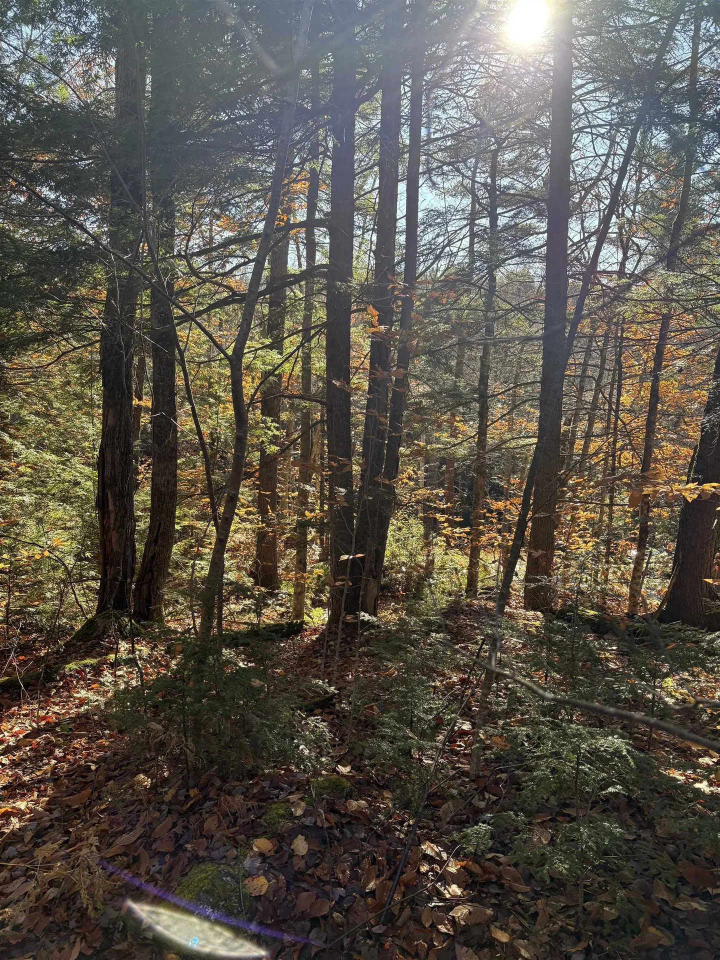 Lot 77-7 East Washington Road Washington NH 03280