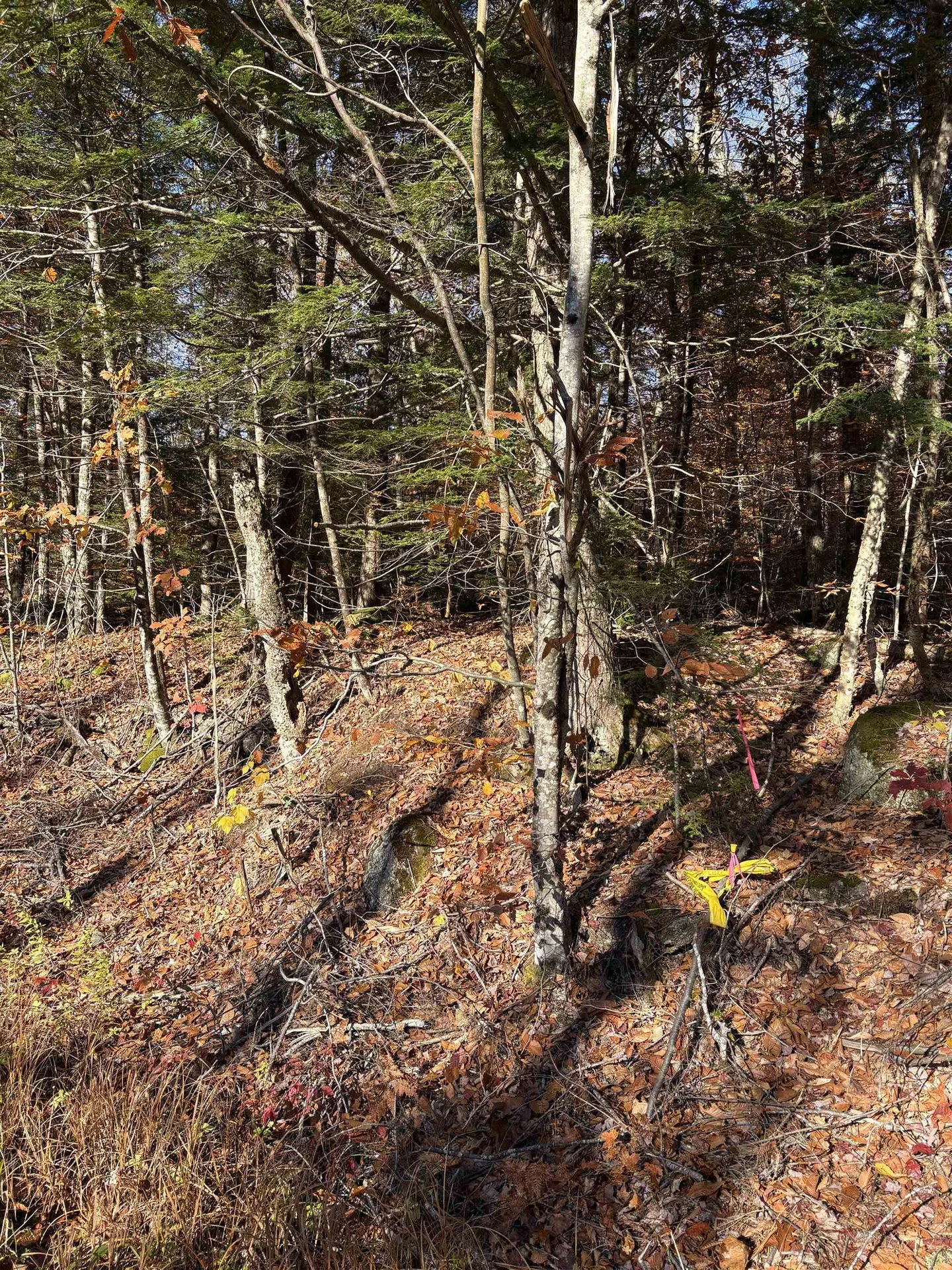 Lot 77-7 East Washington Road Washington NH 03280