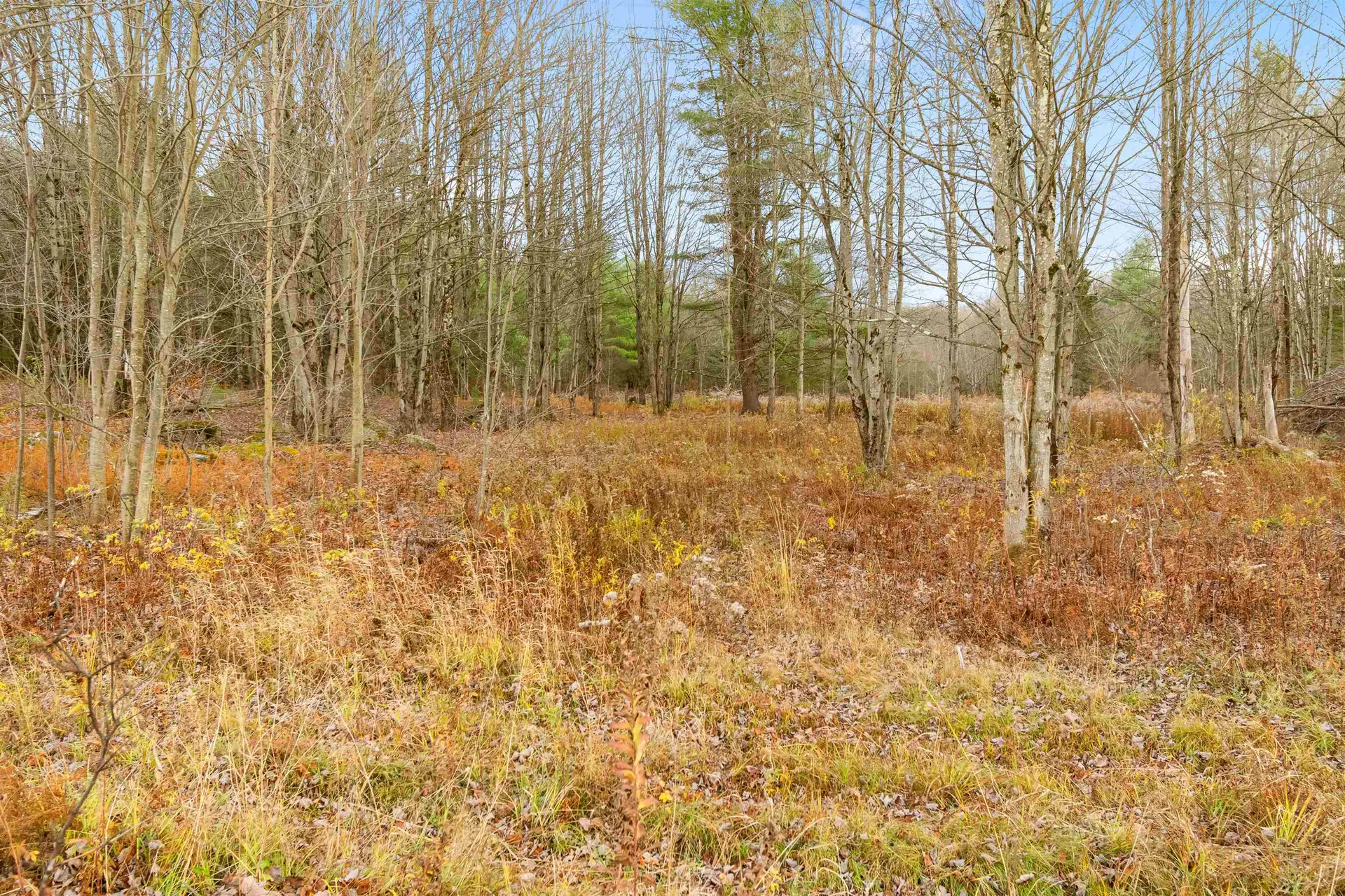 23 Mountain Spring Court Westford VT 05494