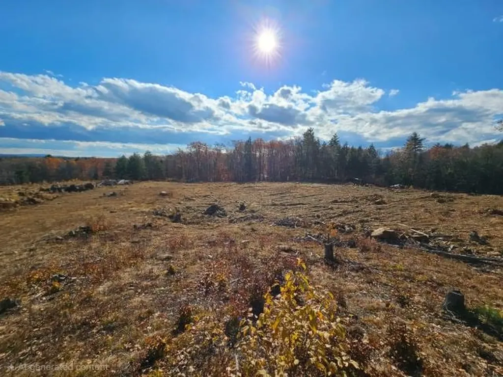 306 Baptist Hill Road Canterbury NH 03224