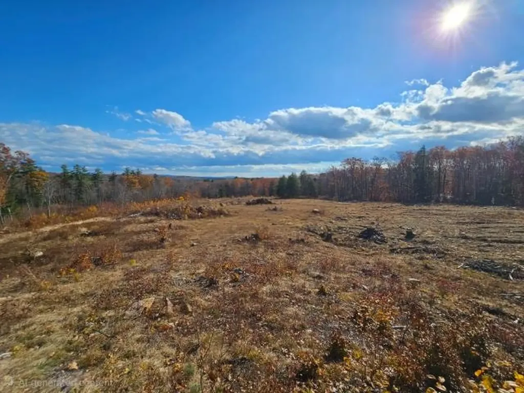 306 Baptist Hill Road Canterbury NH 03224