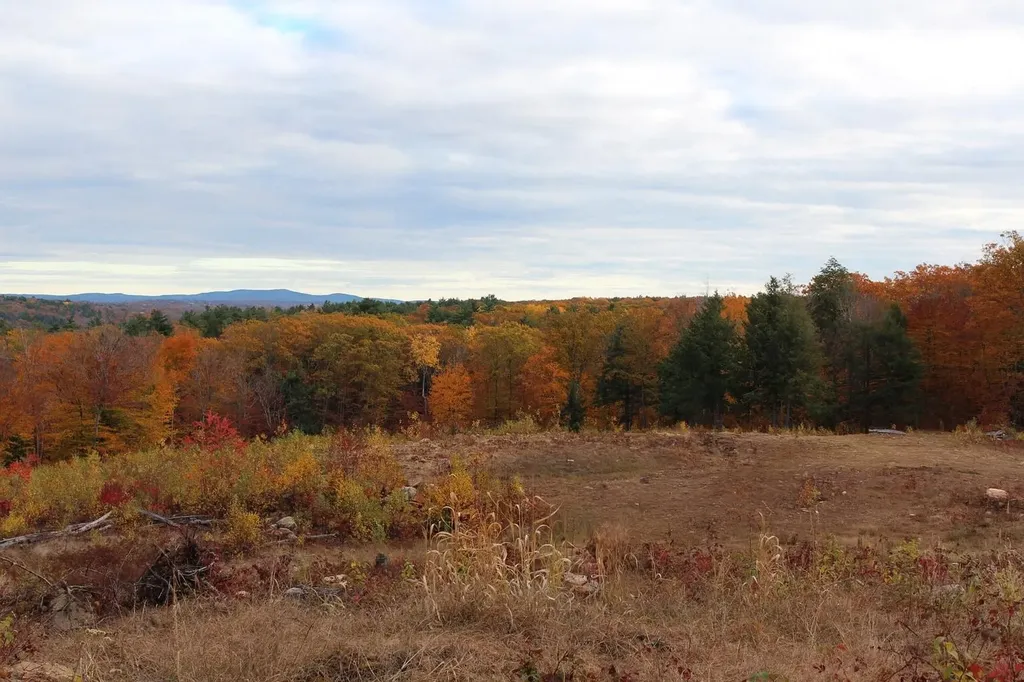 306 Baptist Hill Road Canterbury NH 03224