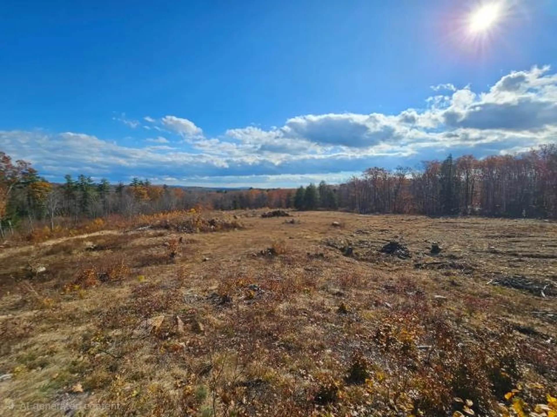 306 Baptist Hill Road Canterbury NH 03224