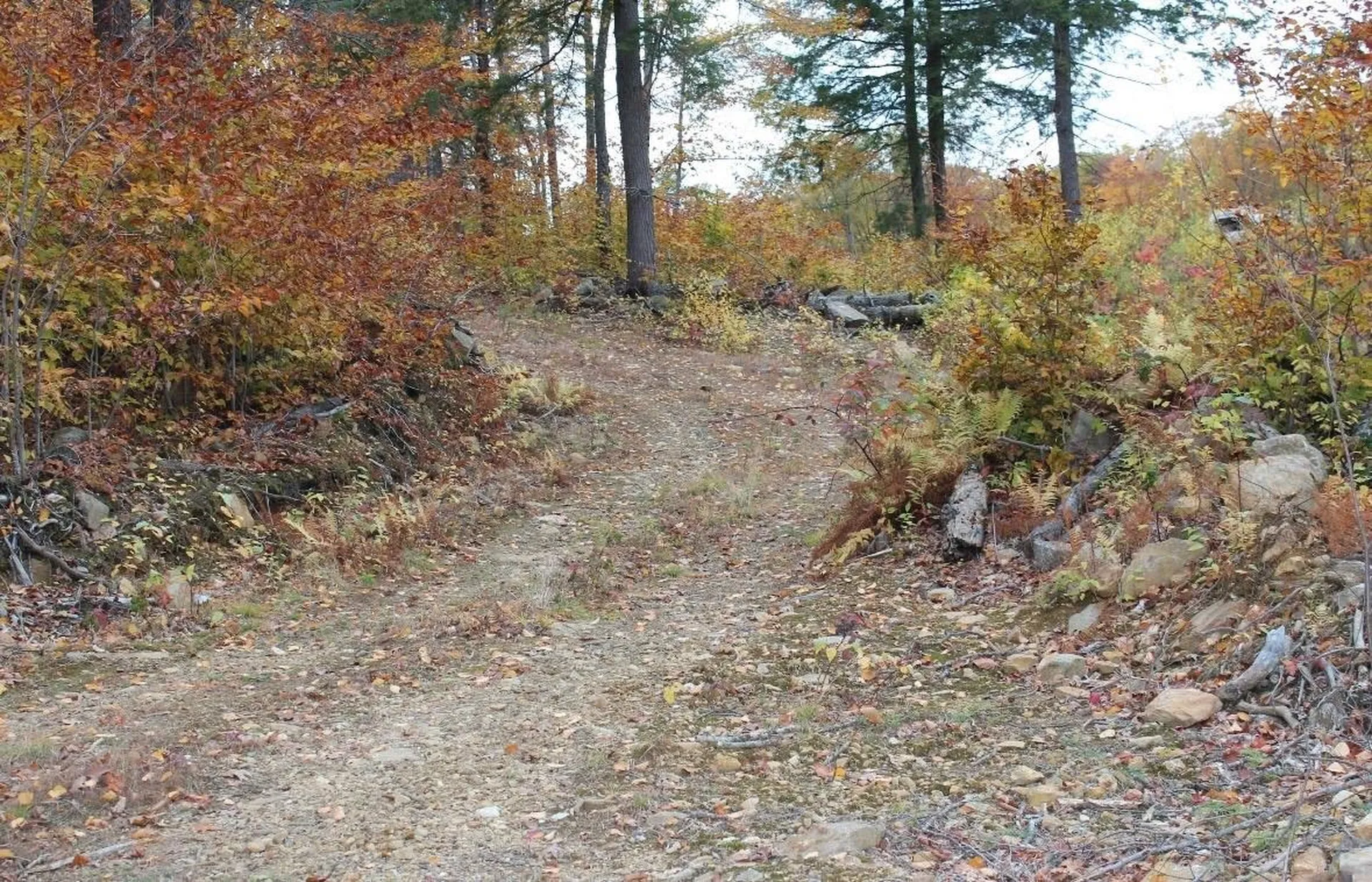 306 Baptist Hill Road Canterbury NH 03224