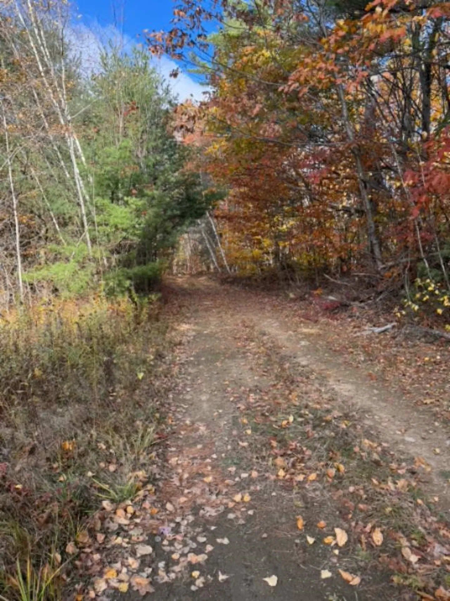 306 Baptist Hill Road Canterbury NH 03224