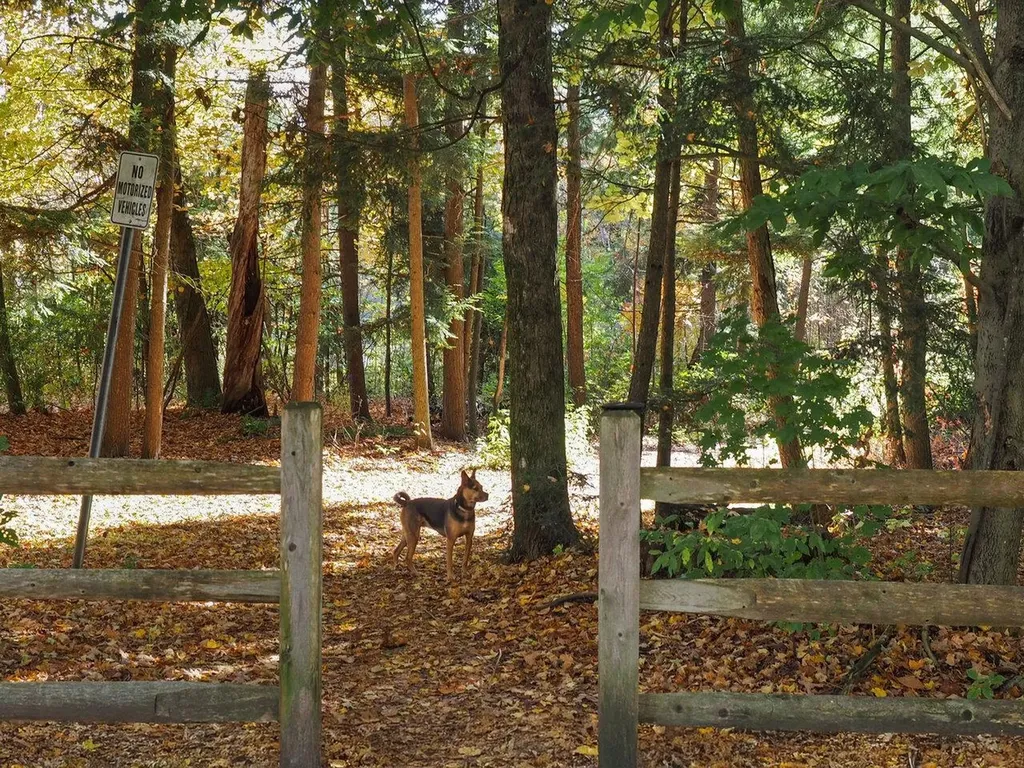 60 Starbird Road Jericho VT 05465