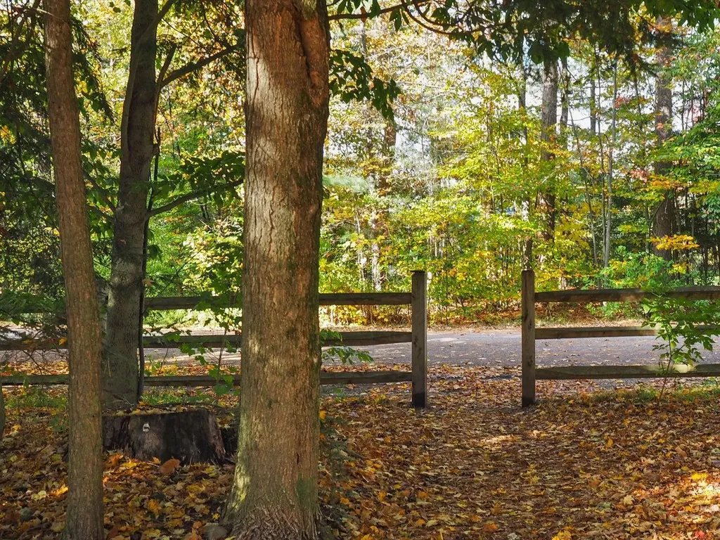 60 Starbird Road Jericho VT 05465