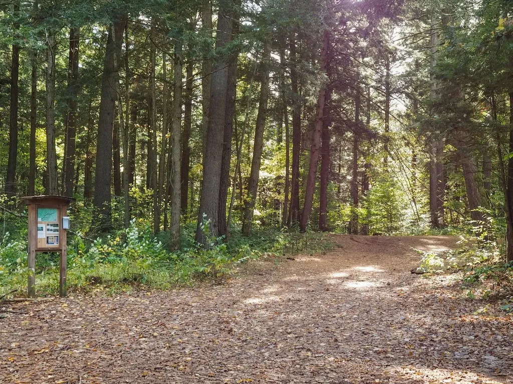 60 Starbird Road Jericho VT 05465