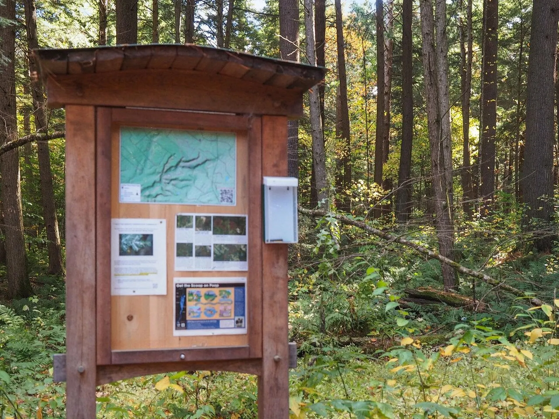 60 Starbird Road Jericho VT 05465