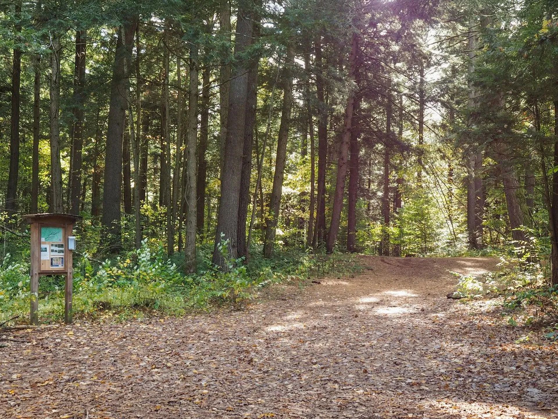 60 Starbird Road Jericho VT 05465