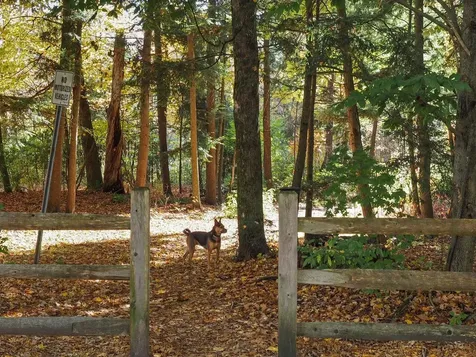 60 Starbird Road Jericho VT 05465