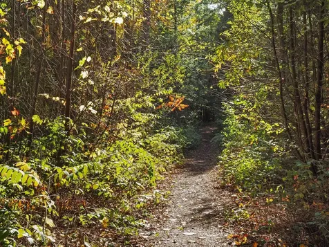 60 Starbird Road Jericho VT 05465