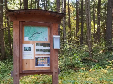 60 Starbird Road Jericho VT 05465