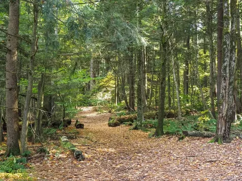 60 Starbird Road Jericho VT 05465