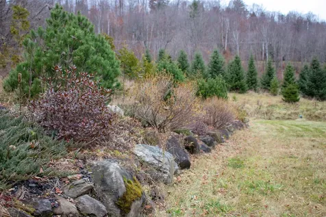 543 Boyce Road Williamstown VT 05679