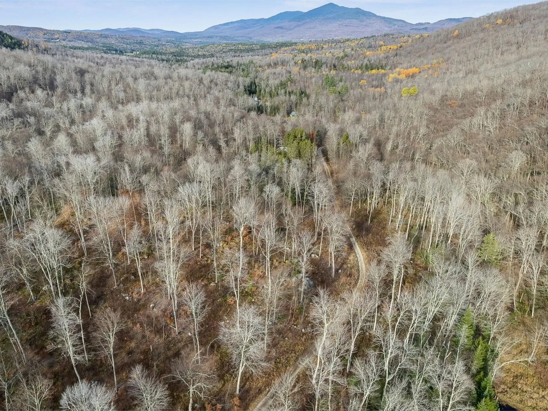 2350 Cobb Hill Road Lincoln VT 05443