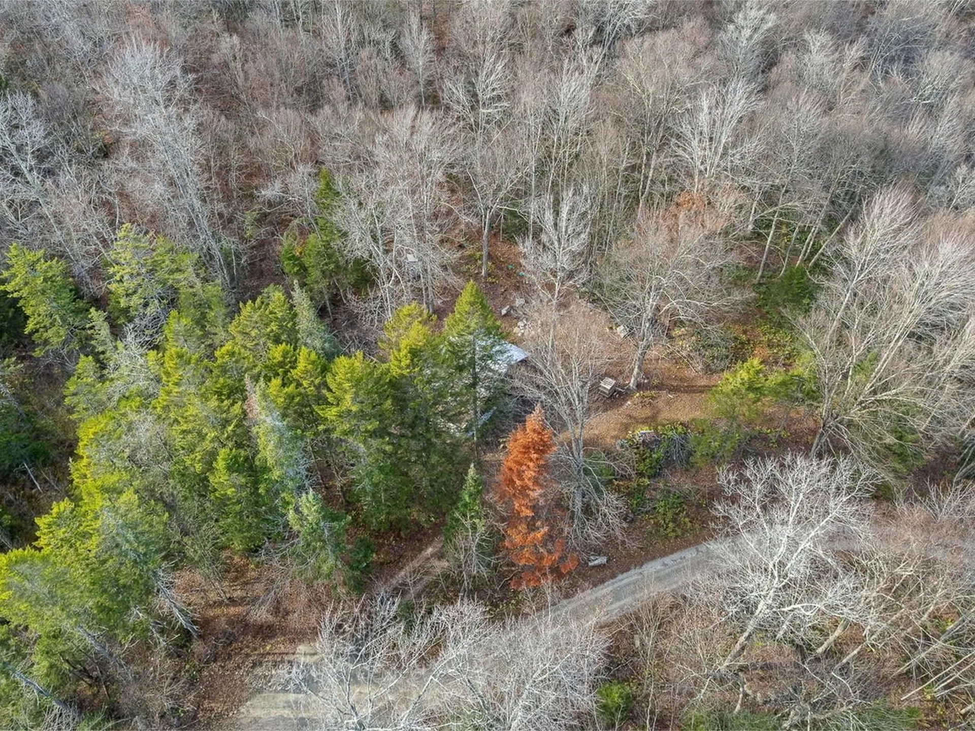 2350 Cobb Hill Road Lincoln VT 05443