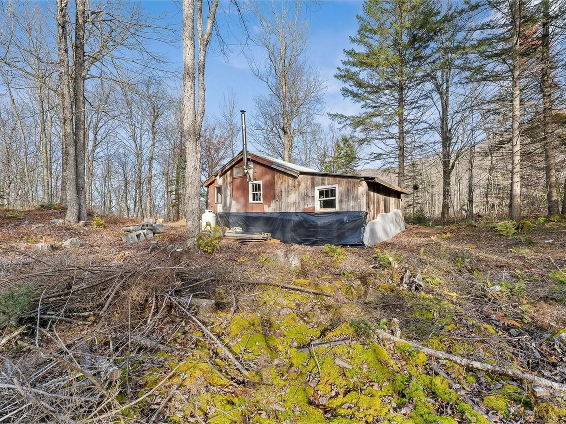 2350 Cobb Hill Road Lincoln VT 05443