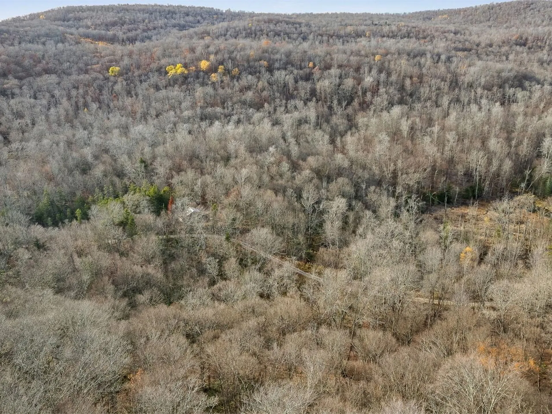 2350 Cobb Hill Road Lincoln VT 05443