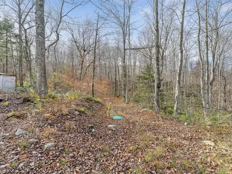 2350 Cobb Hill Road Lincoln VT 05443