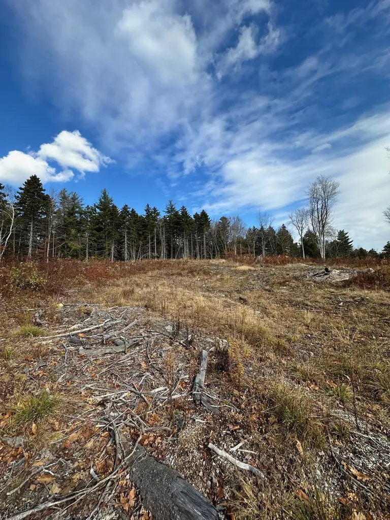 227 Gault Road Wardsboro VT 05355