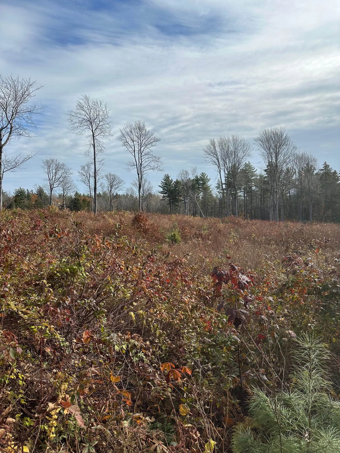 227 Gault Road Wardsboro VT 05355