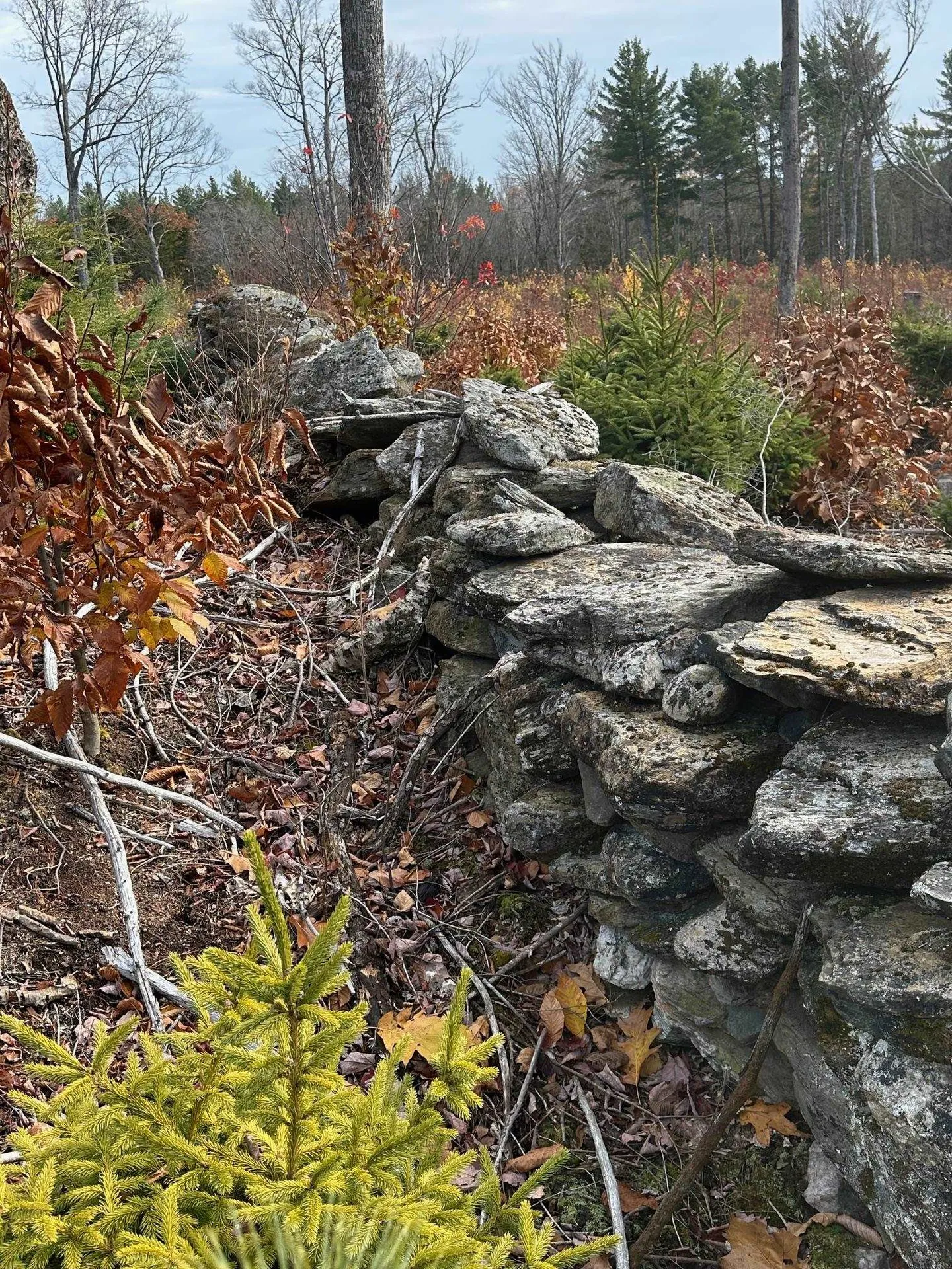 227 Gault Road Wardsboro VT 05355