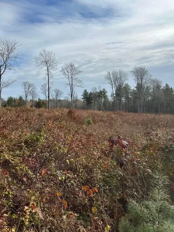 227 Gault Road Wardsboro VT 05355