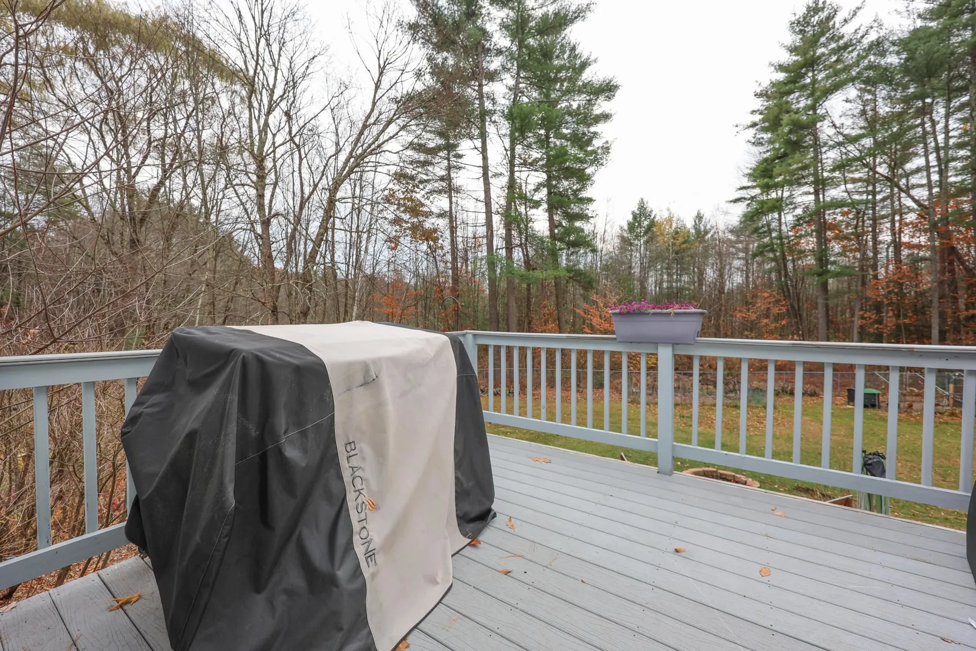 6 Foxglove Terrace Concord NH 03303