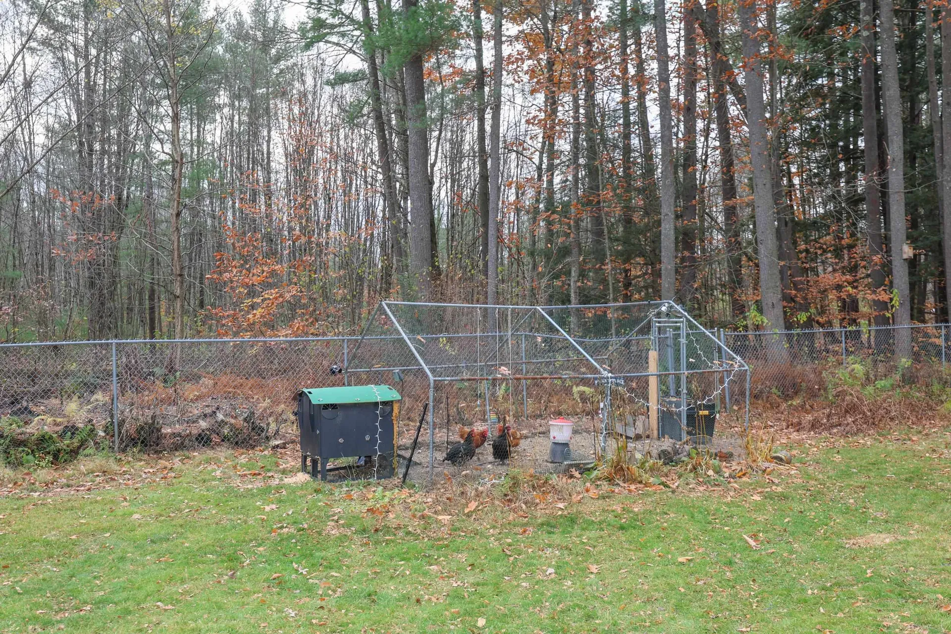 6 Foxglove Terrace Concord NH 03303