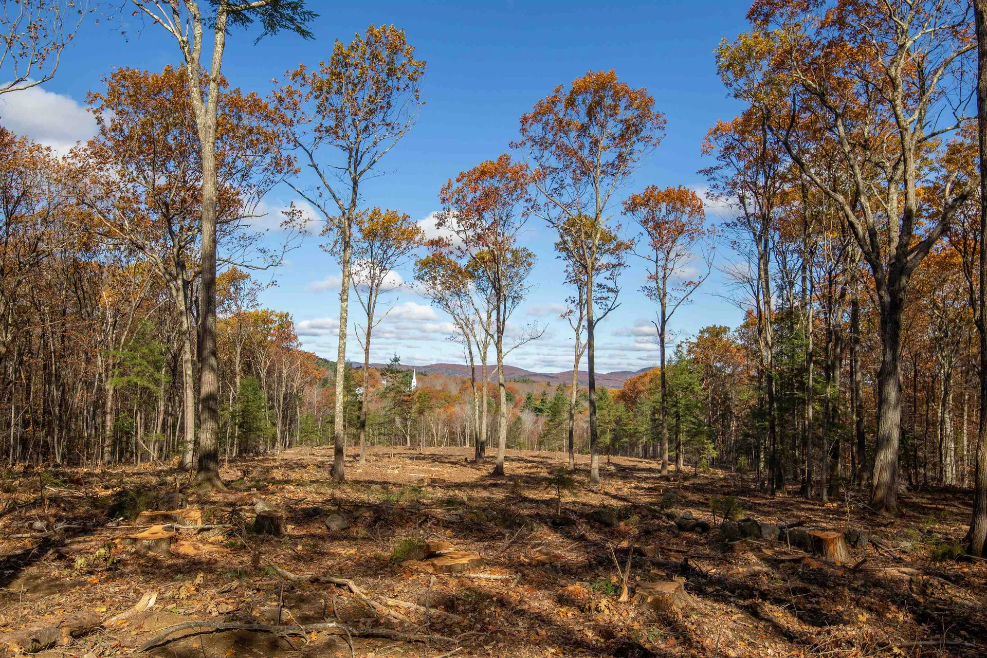 000 Windmill Hill Road Dublin NH 03444