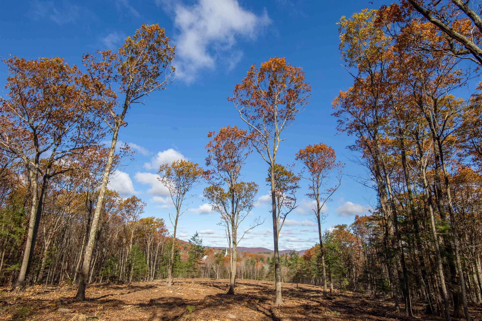 000 Windmill Hill Road Dublin NH 03444