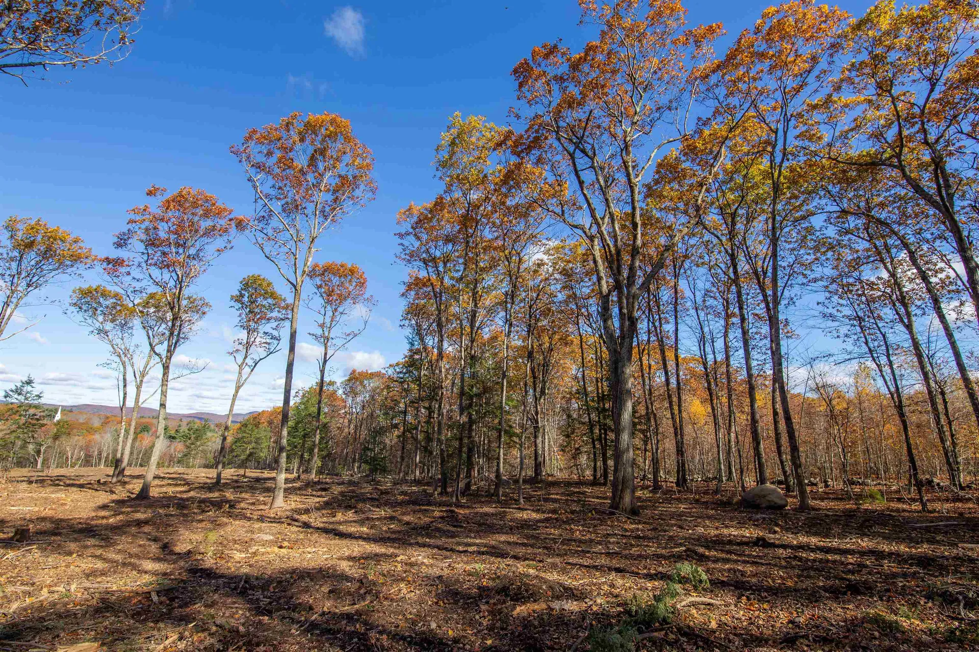 000 Windmill Hill Road Dublin NH 03444