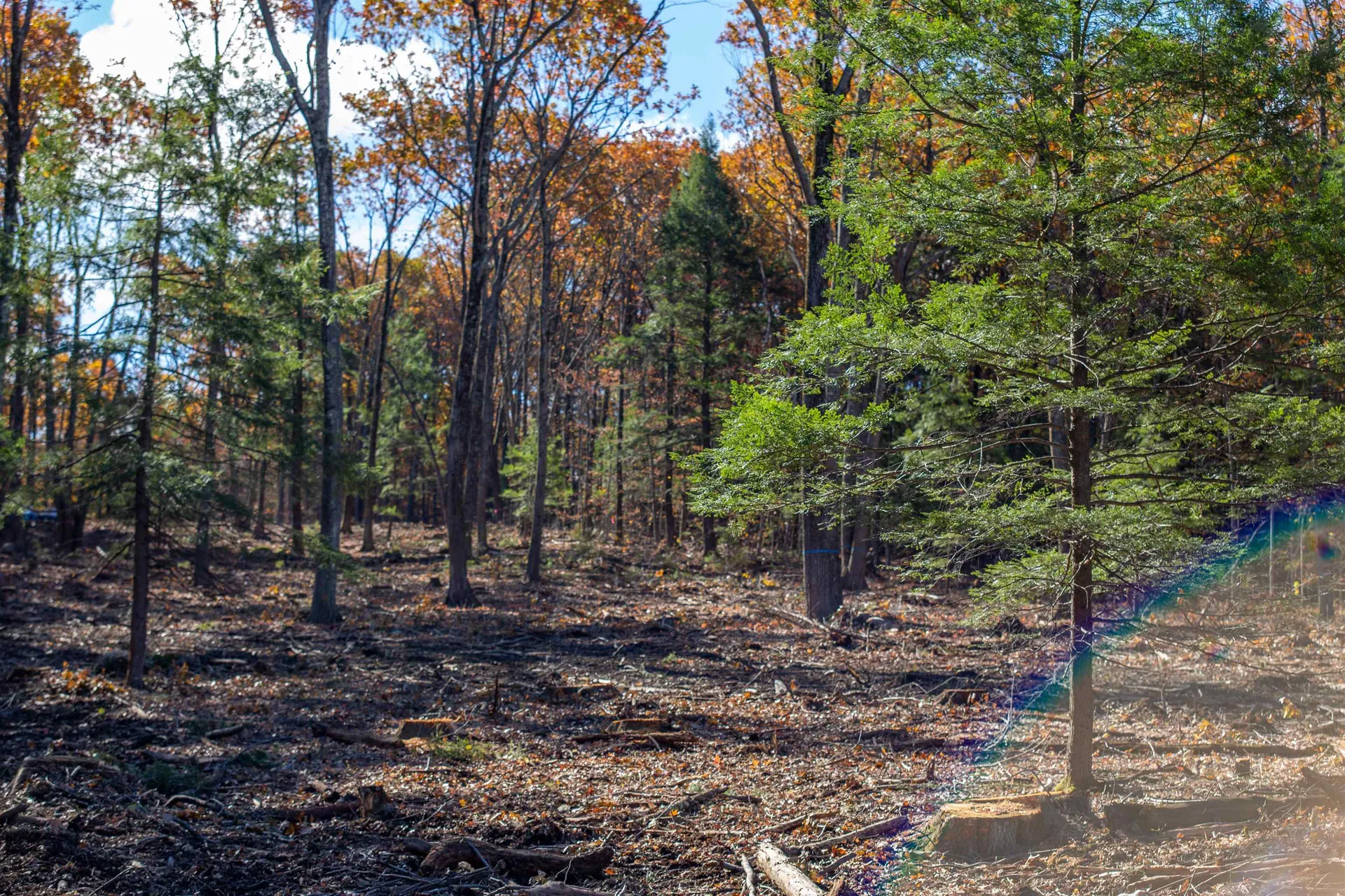 000 Windmill Hill Road Dublin NH 03444