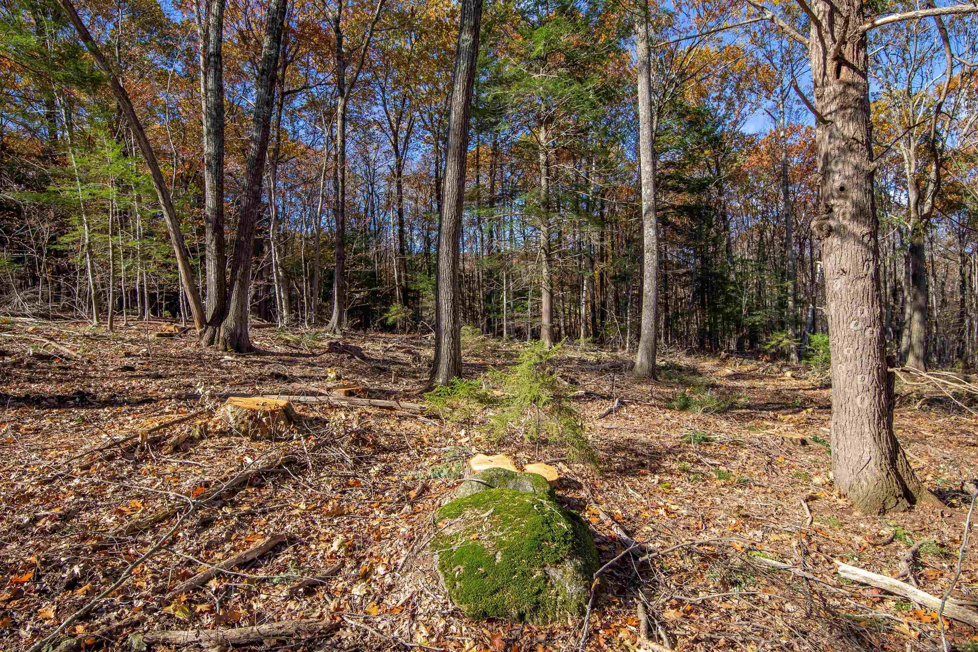 000 Windmill Hill Road Dublin NH 03444