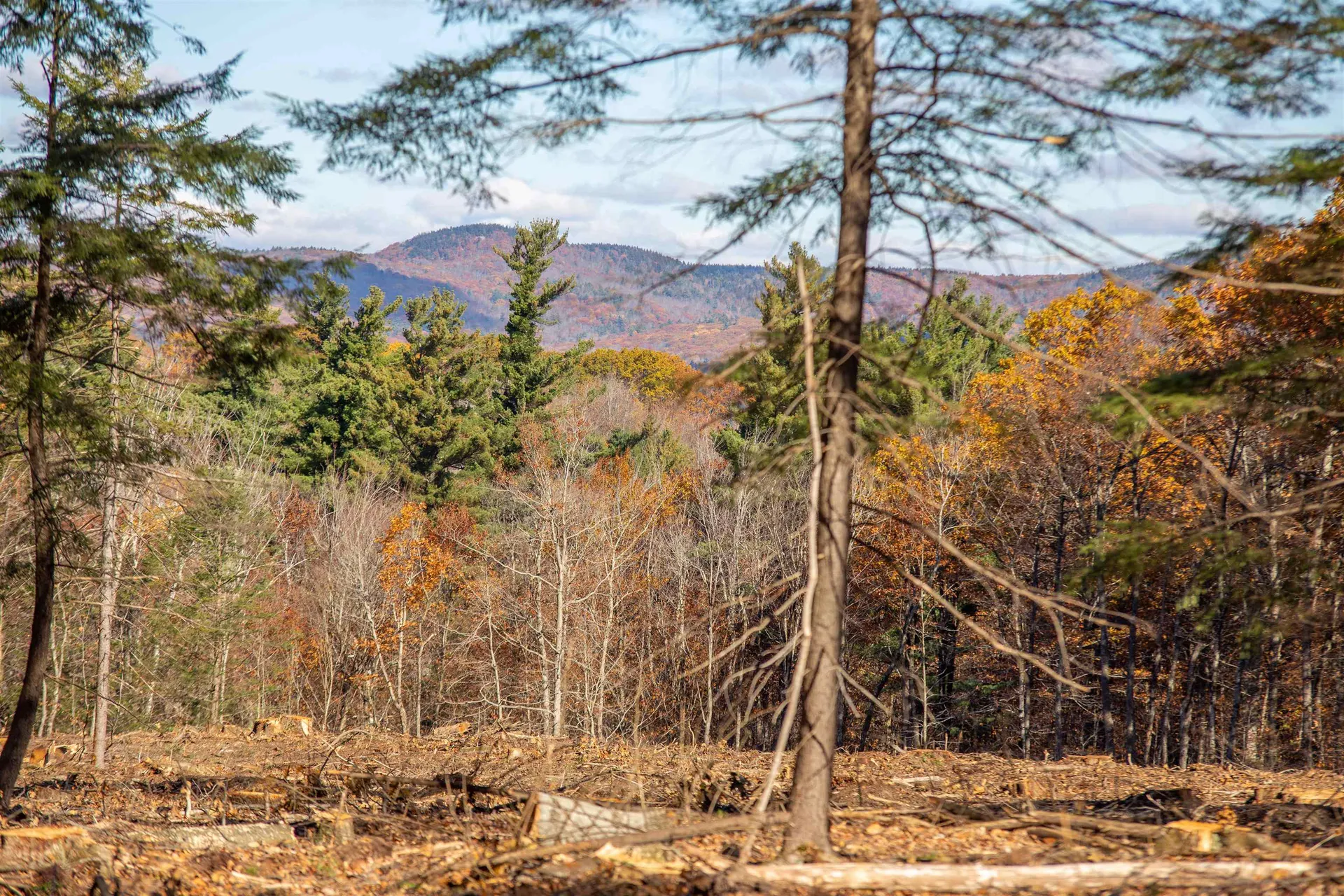 000 Windmill Hill Road Dublin NH 03444