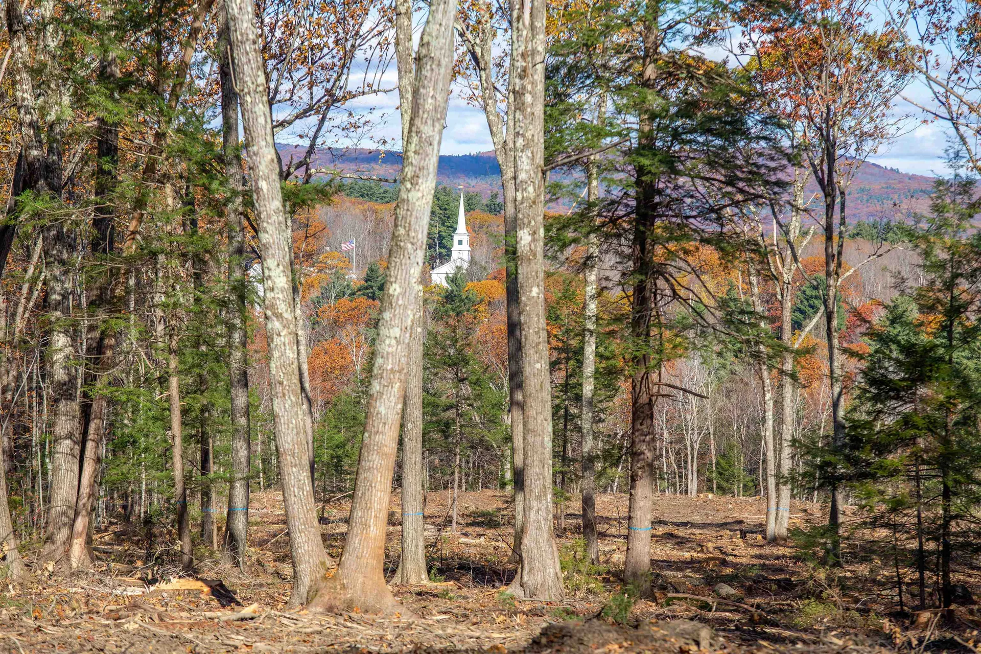 000 Windmill Hill Road Dublin NH 03444