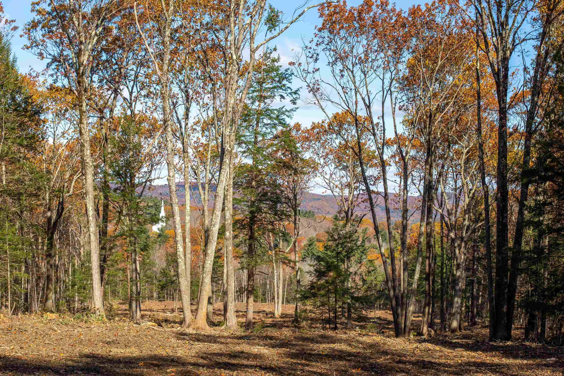 000 Windmill Hill Road Dublin NH 03444