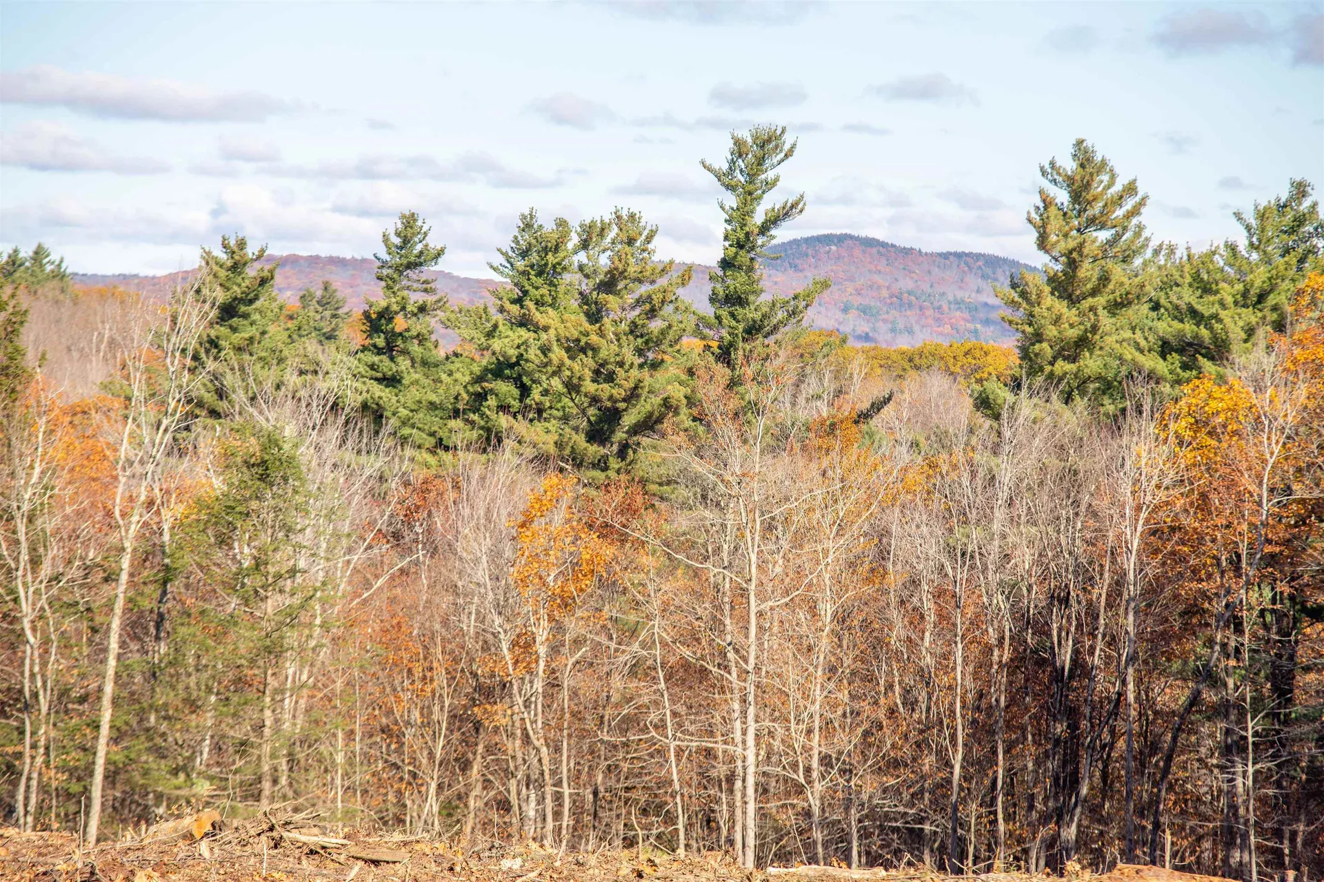 000 Windmill Hill Road Dublin NH 03444