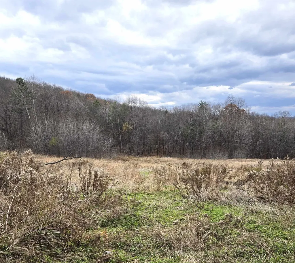 3531 Dairy Hill Road Tunbridge VT 05077