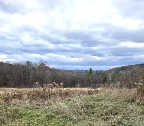 3531 Dairy Hill Road Tunbridge VT 05077