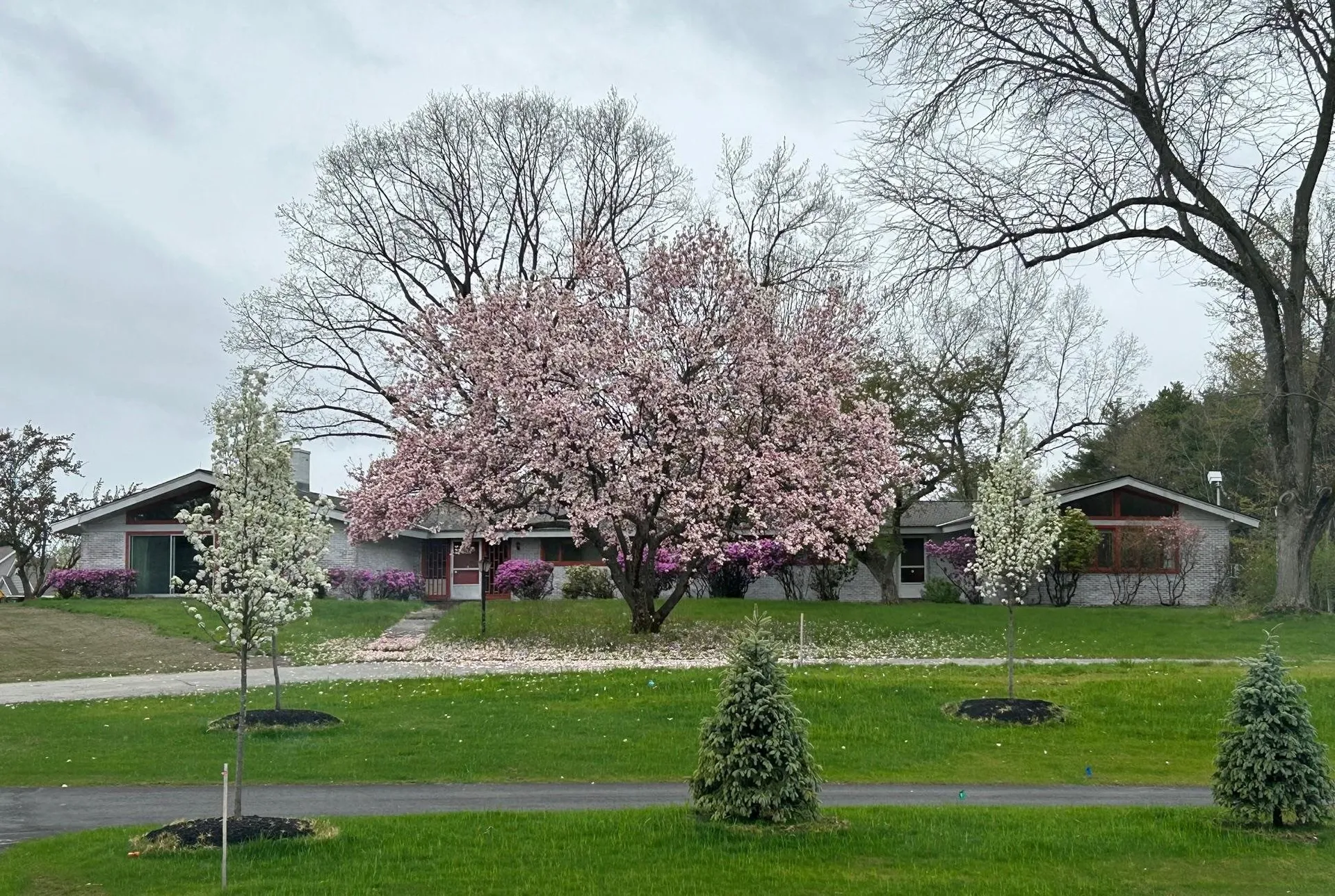 19 Bartlett Avenue Nashua NH 03064