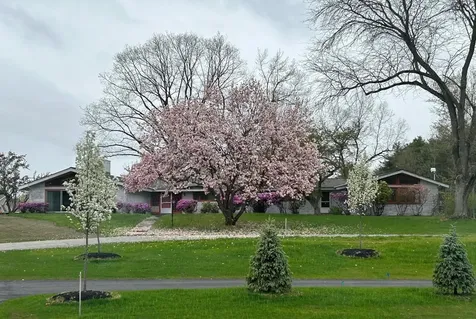 19 Bartlett Avenue Nashua NH 03064